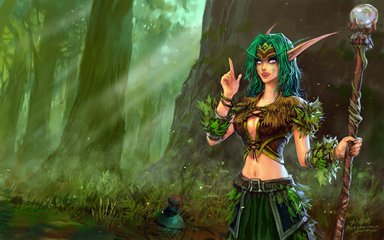 《魔兽私服文化现象研究：虚拟社群中的身份认同与集体记忆建构》